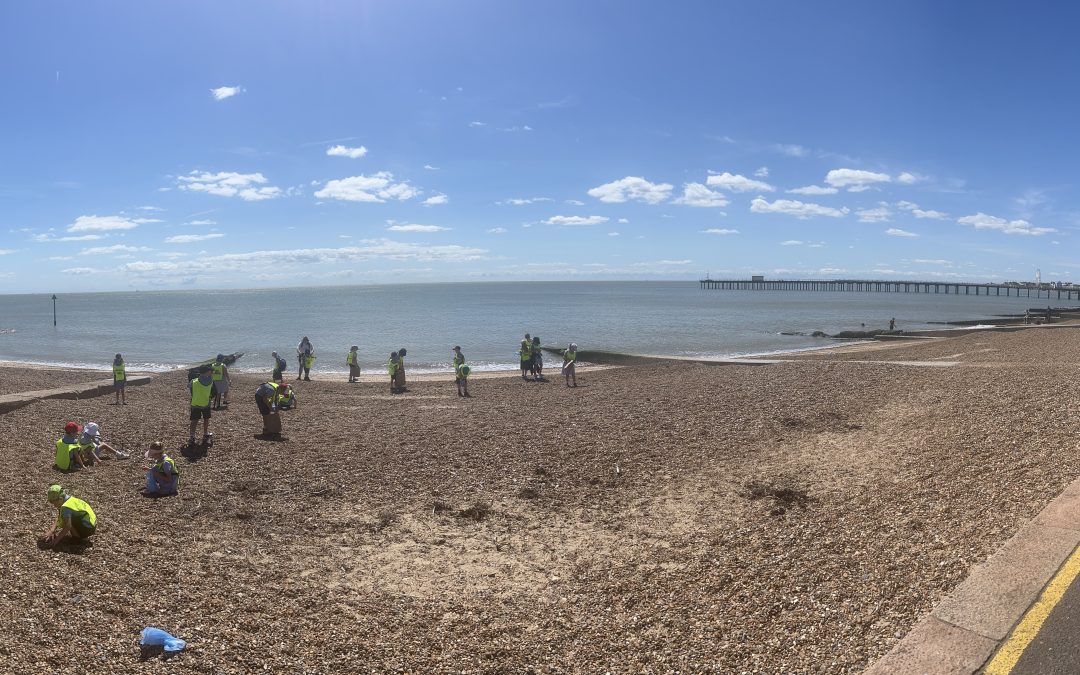 Y2 Ash class to Felixstowe