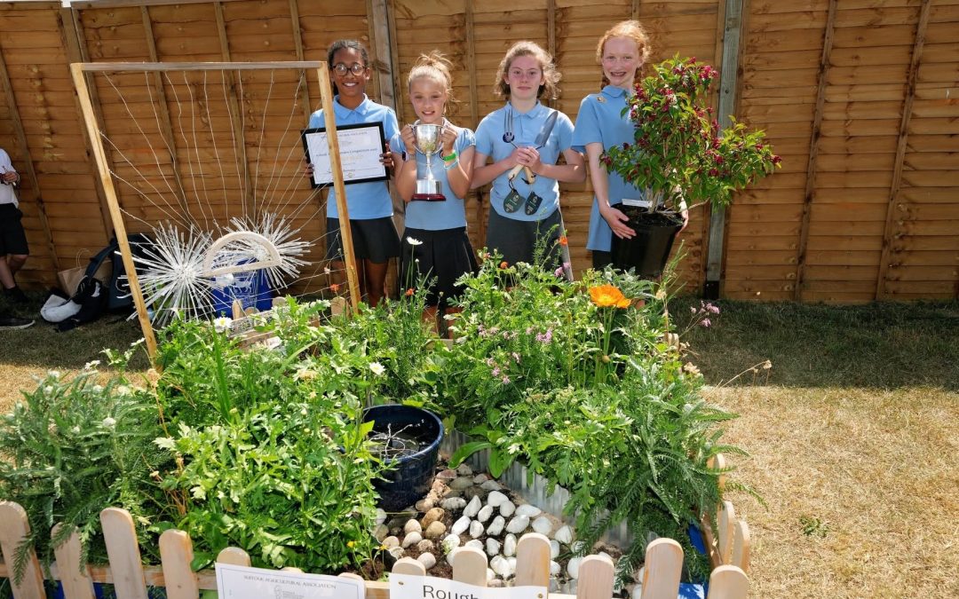 Suffolk Show Large Gold Award!